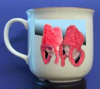 Model K�nichliche Garde